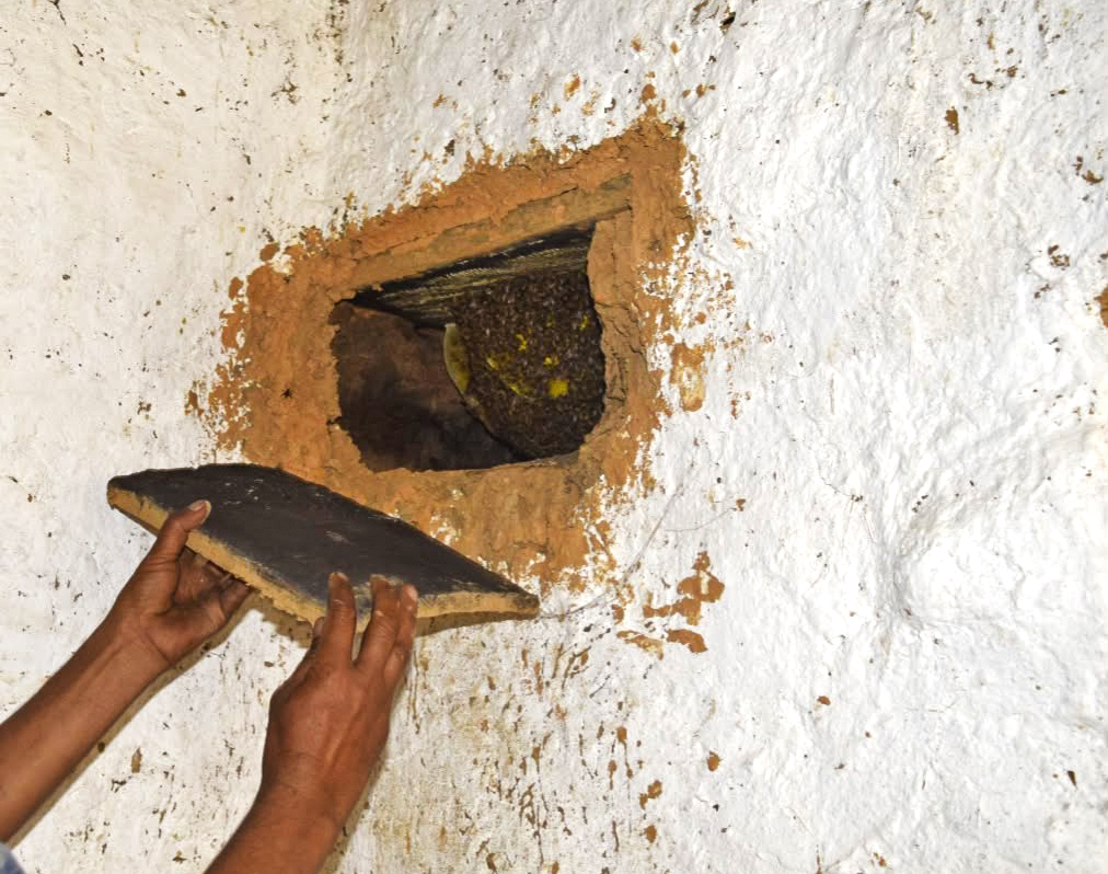 Himalayan Women Save Native Bees in Traditional Homes - Image 5
