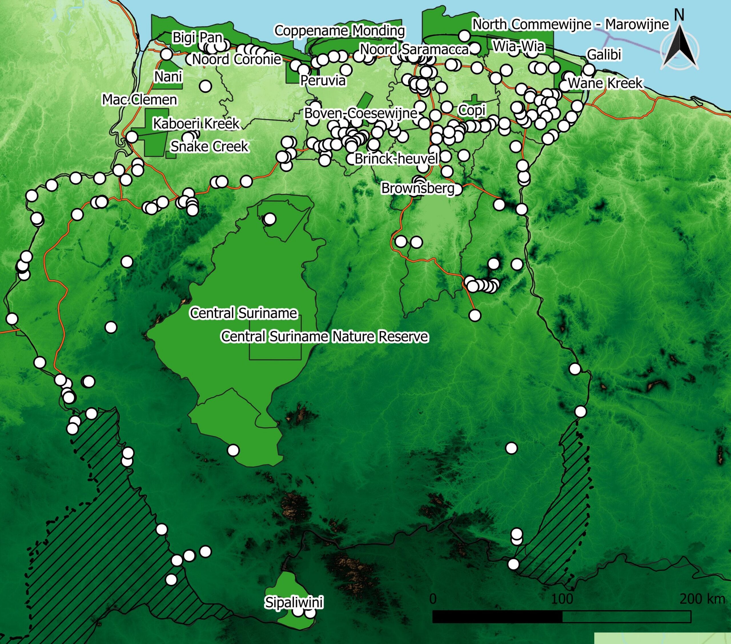 Archaeologist Finds Ancient Cities Under Suriname's 'Untouched' Forest - Image 3