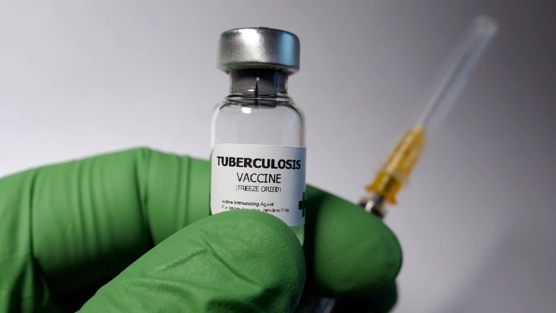 Researchers at University of Cape Town laboratory working on groundbreaking tuberculosis vaccine development