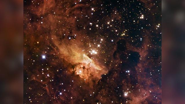 Baby Star Discovered Hiding in Stellar Death Cloud - Image 3
