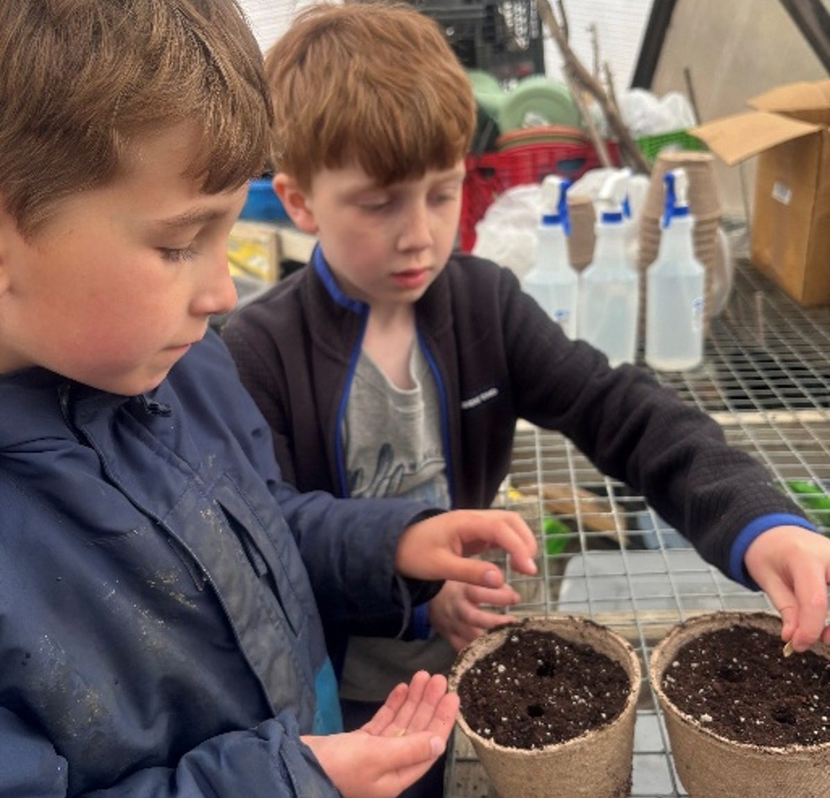 Maine School Merges Tech Labs with Garden Therapy Spaces