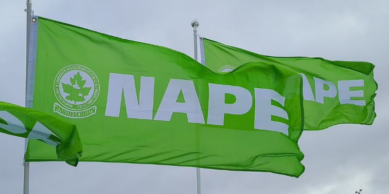 NL Board Rules Casual Workers Have Right to Unionize