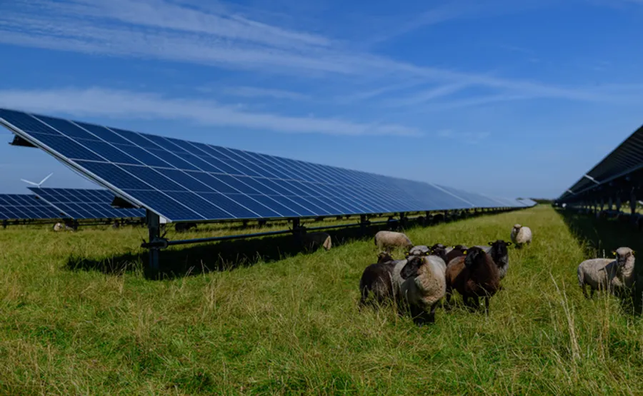 UK Solar Hits Record High, Gas Power Drops to 2%