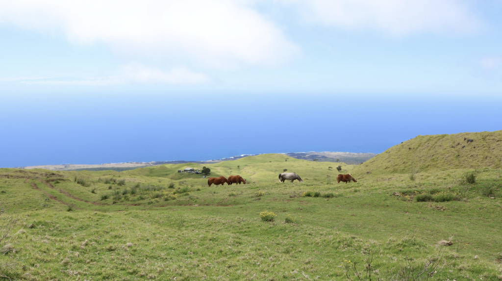 Hawaii Opens Energy Resilience Help to Island Communities