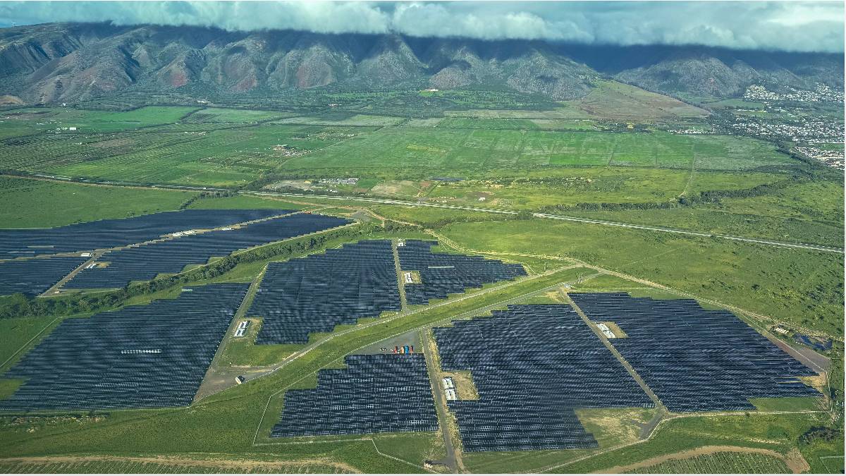 Maui's $241M Solar Project Could Power 18,000 Homes by 2028