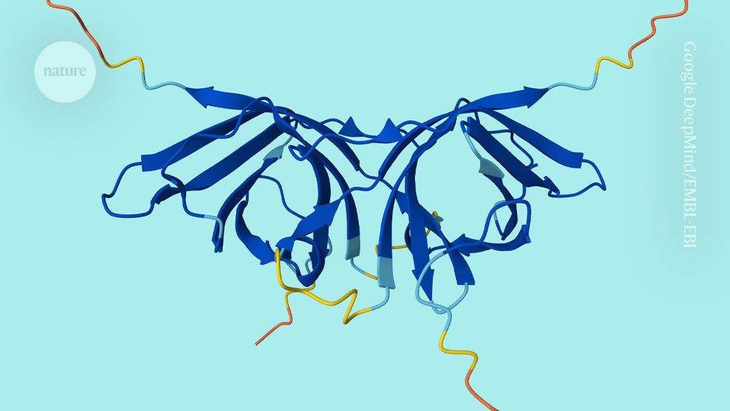 AI Database Now Predicts How 1.7M Proteins Work Together