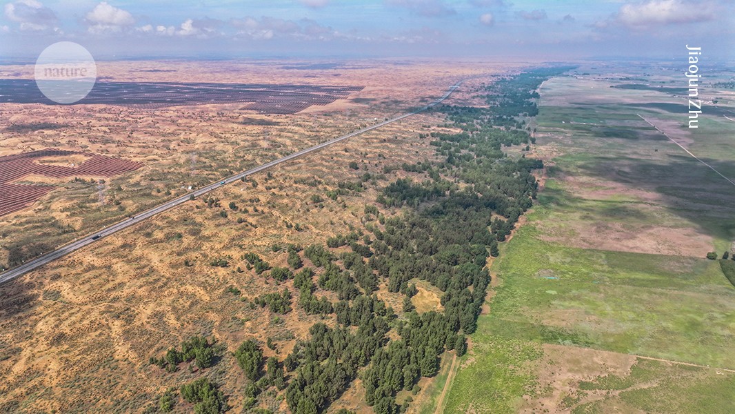 China's Green Wall Triples Forest Cover Since 1978