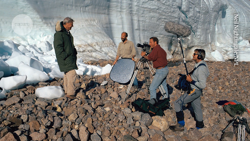 David Attenborough filming wildlife in natural habitat with camera crew in background