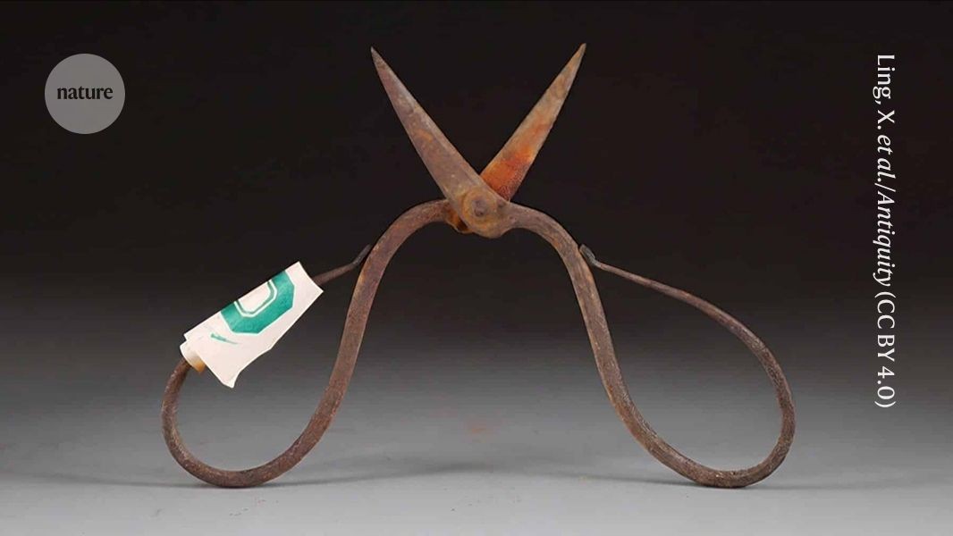 Ancient Chinese Surgeons Used Anesthesia 600 Years Ago