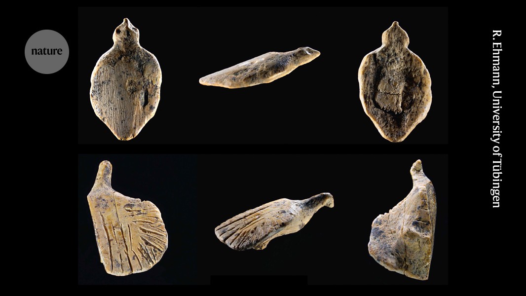 40,000-Year-Old Bird Carvings Found in German Cave