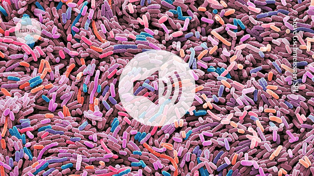 Probiotic Bacteria Now Treats Diabetes in Breakthrough Study