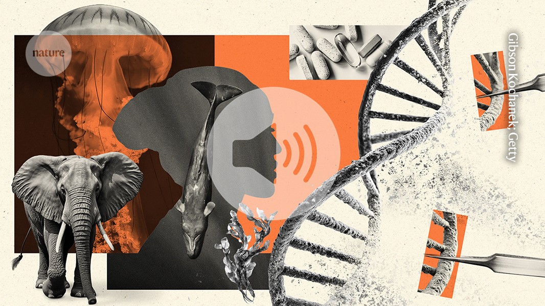 ** Illustrated DNA double helix with glowing repair mechanisms highlighting cellular rejuvenation and longevity research