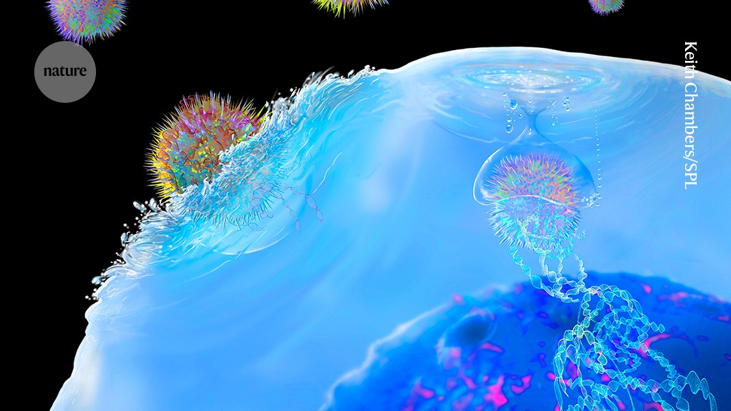 New MS Treatment Creates Healing Cells Inside the Body