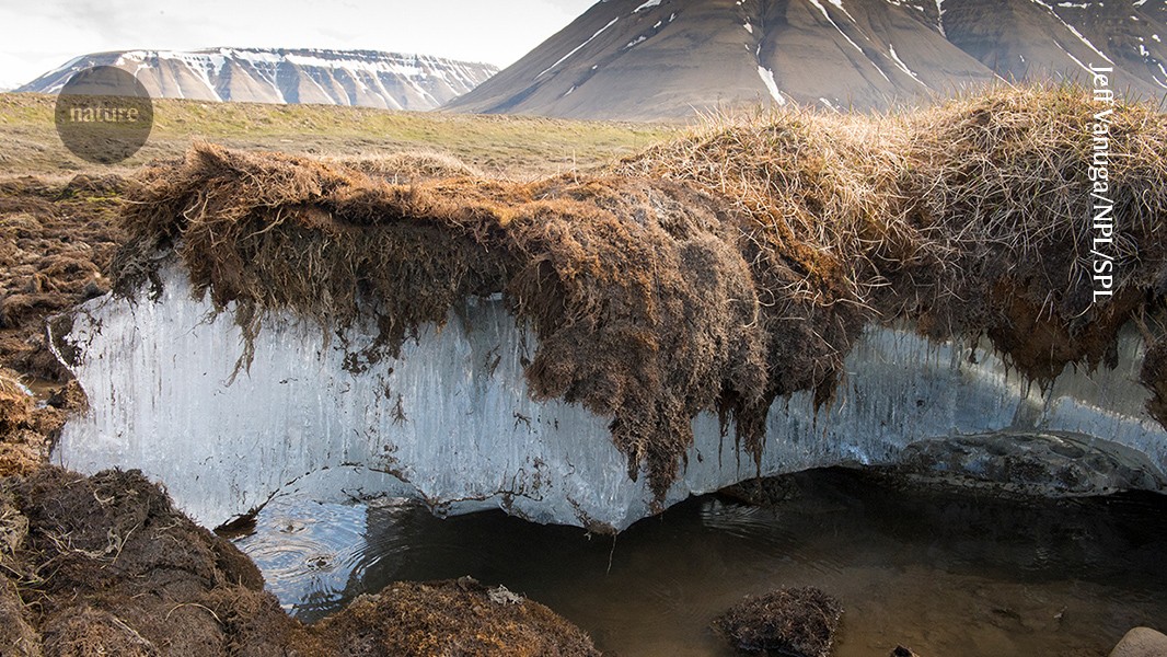 Wood Blankets Stop Arctic Permafrost Melt in Canada