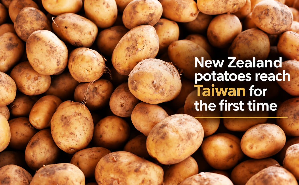 New Zealand Ships First Fresh Potatoes to Taiwan