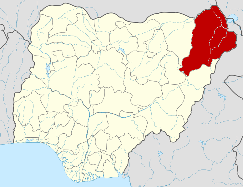Borno Hires 2,000 Health Workers in Two Years