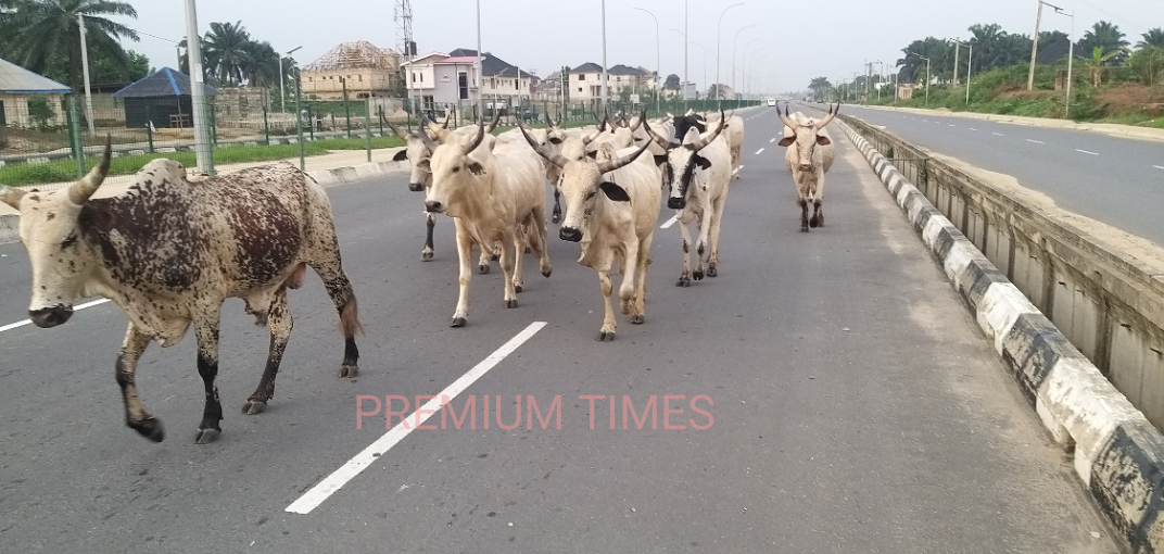 Cross River Creates Ranches to End Farmer-Herder Clashes