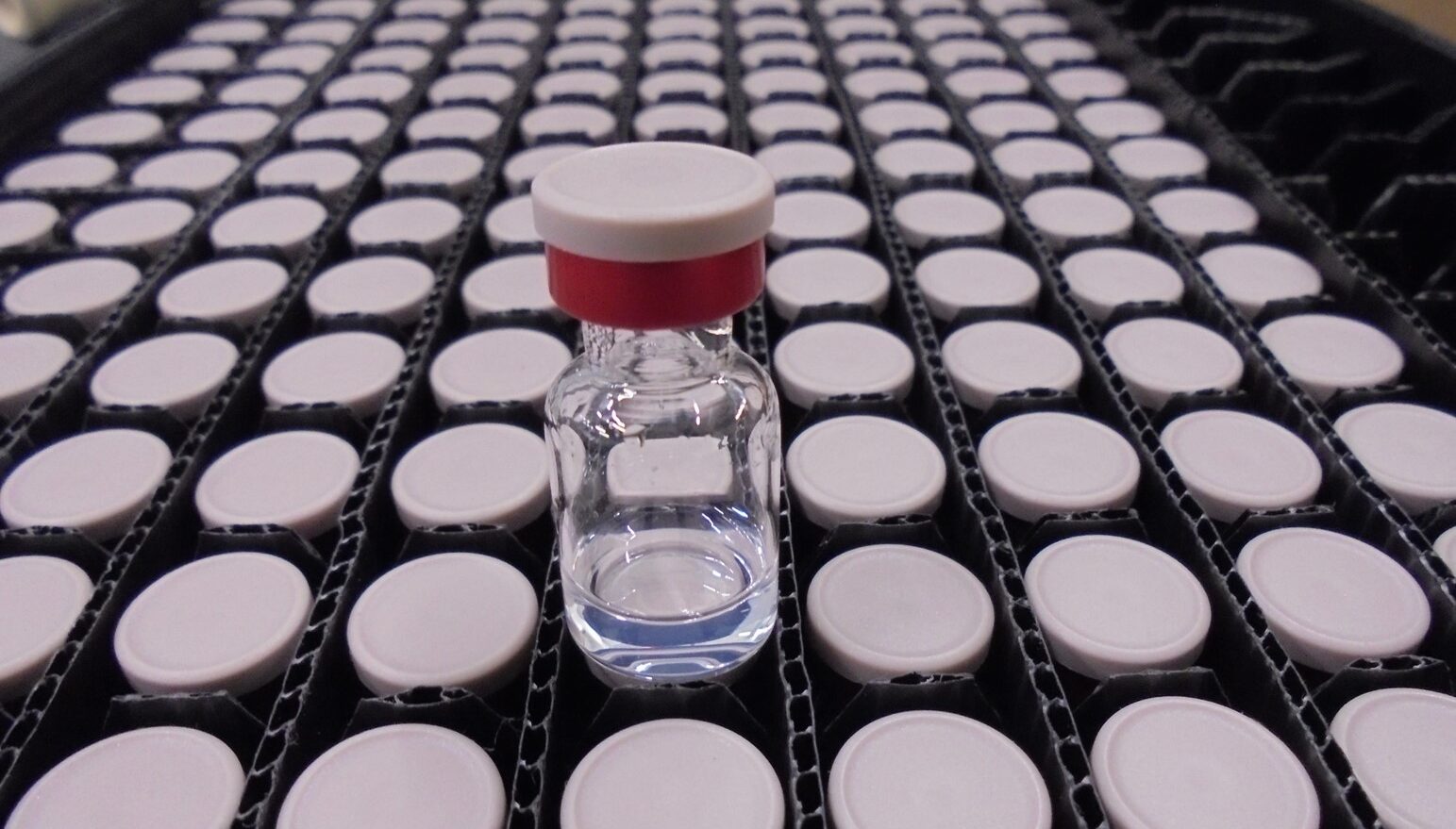 Nigeria Deploys Emergency Task Force to Fight Diphtheria