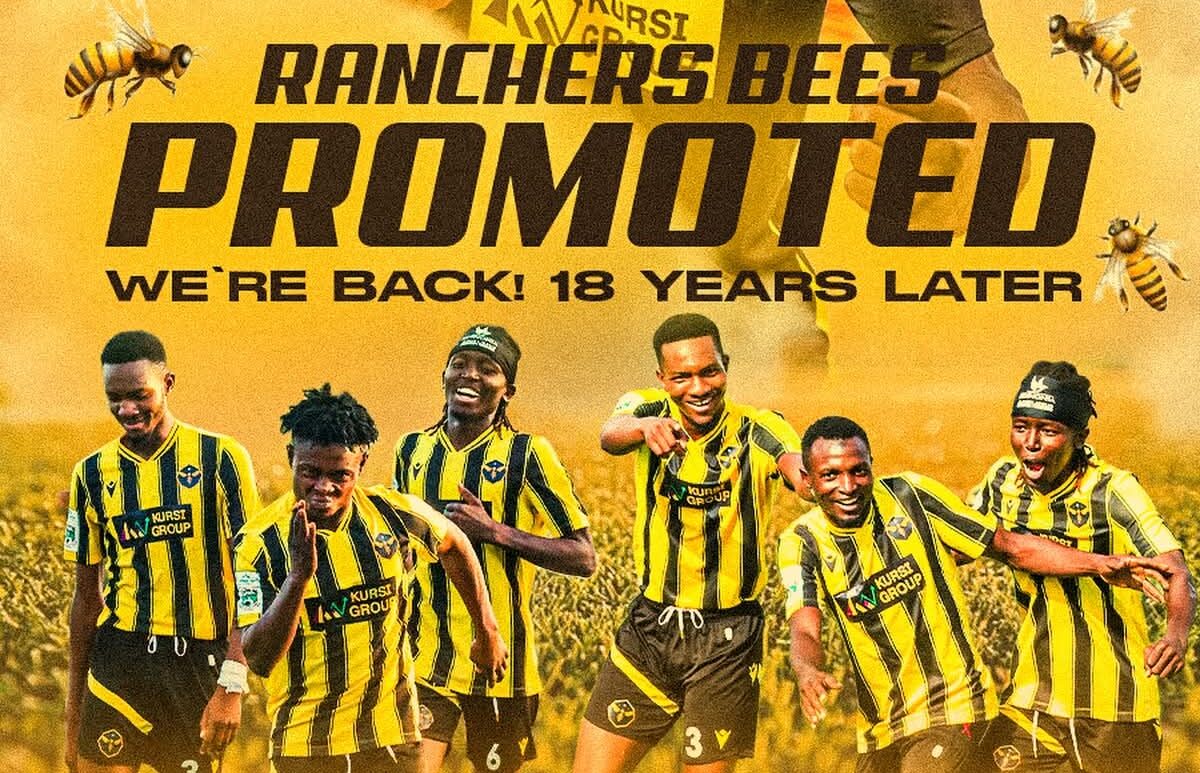 Nigerian soccer players celebrating on field after earning promotion to premier league