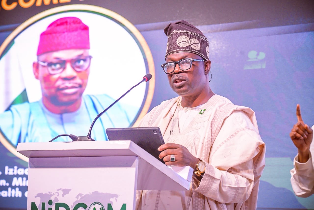 10,000 Nigerians Get Free Healthcare From Diaspora Doctors