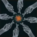 100+ Journalists Rally to Save Internet's Memory Bank - Image 4