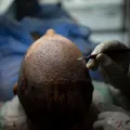 AI Leaders Push Congress for DNA Screening Laws - Image 5