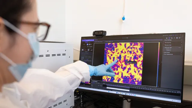 Scientists Launch Lab to Study AI Risk Openly - Image 5