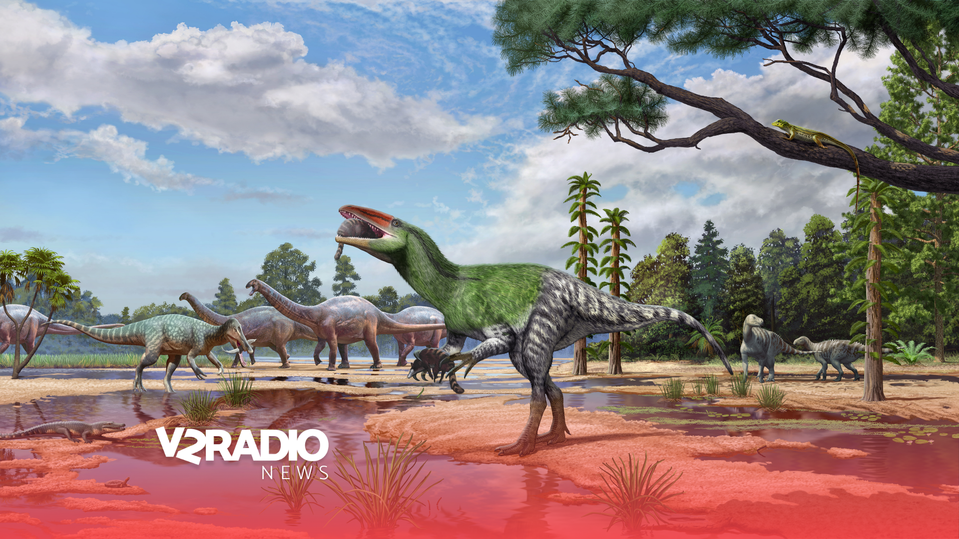 Tiger-Sized Dinosaur With Giant Claws Found in Museum