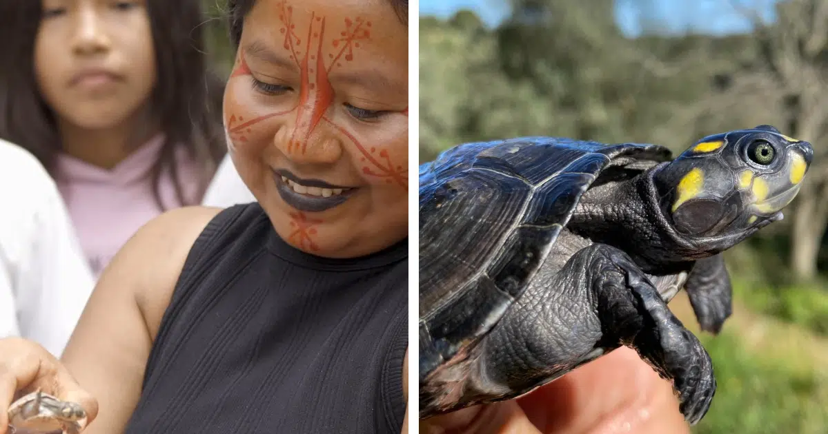 Amazon Turtle Women Blend Tech and Tradition to Save Species