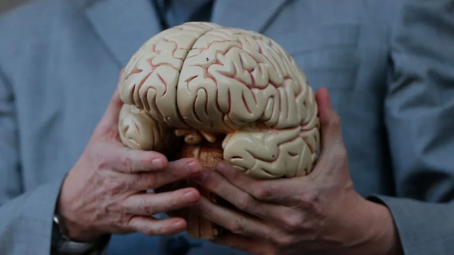 Researchers examining brain tissue scans in modern laboratory at Allen Institute Seattle