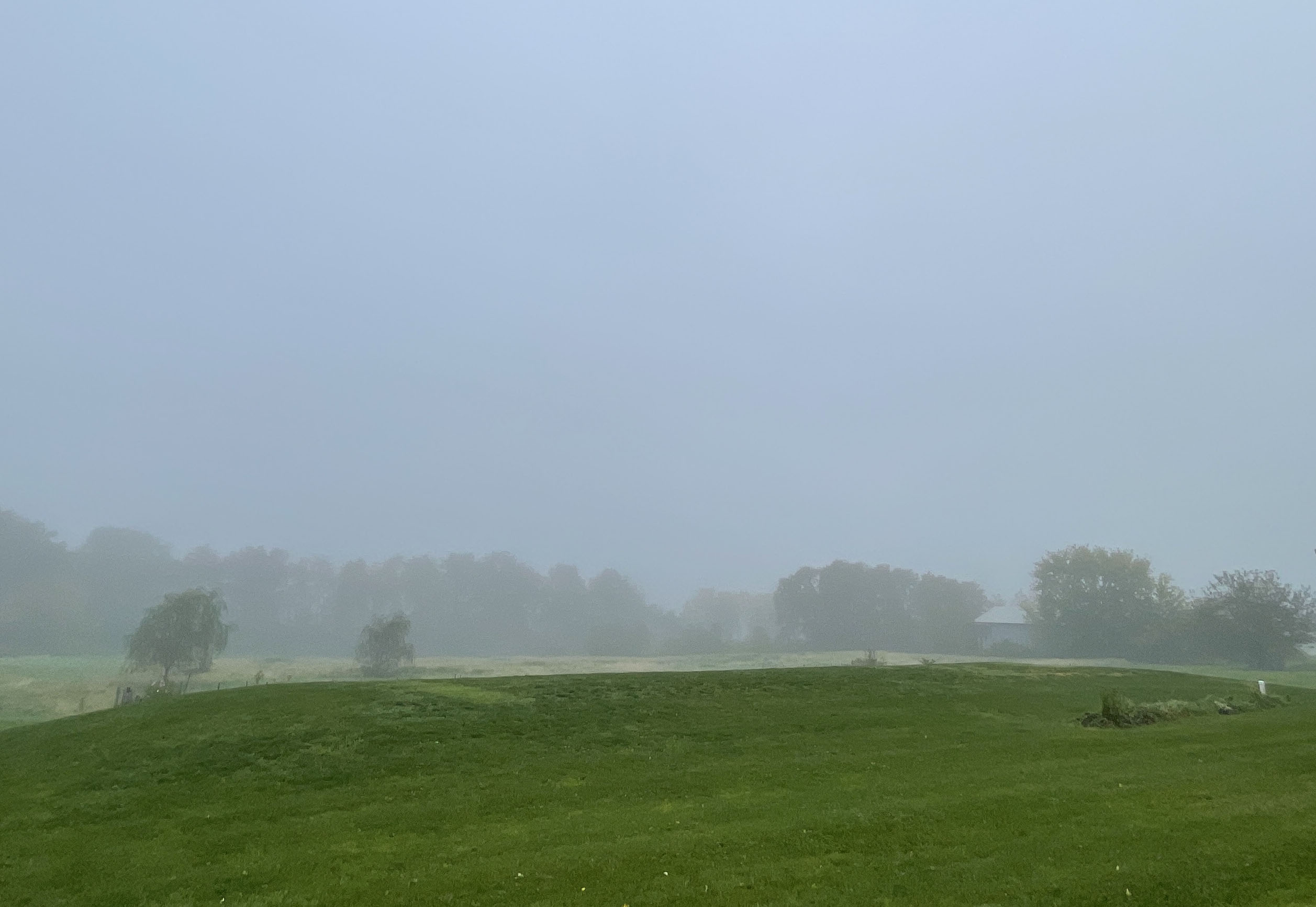 Fog Bacteria Clean Air by Eating Formaldehyde Toxins