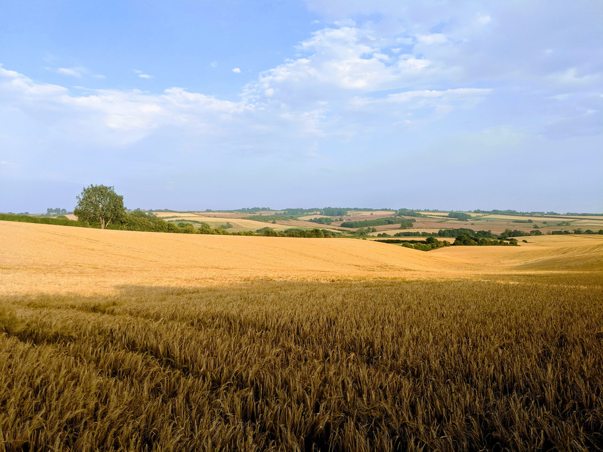 Scientists Train Soil to Resist Climate Change Effects - Image 3
