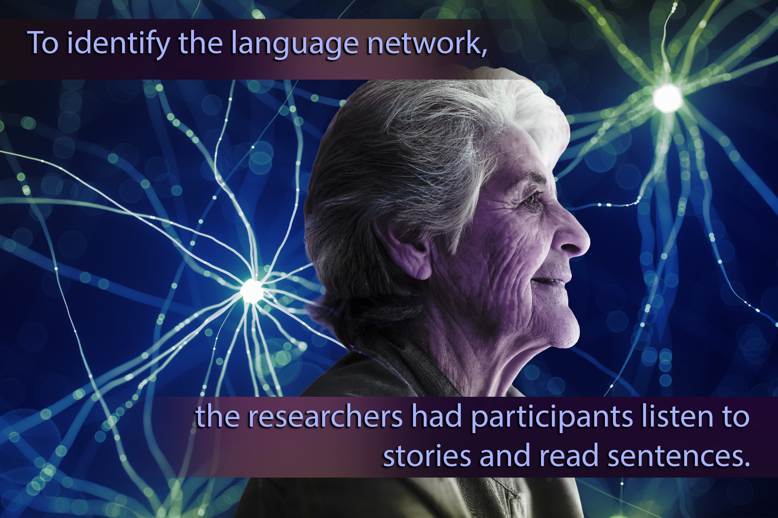 Your Brain's Language Skills Don't Fade With Age, MIT Finds