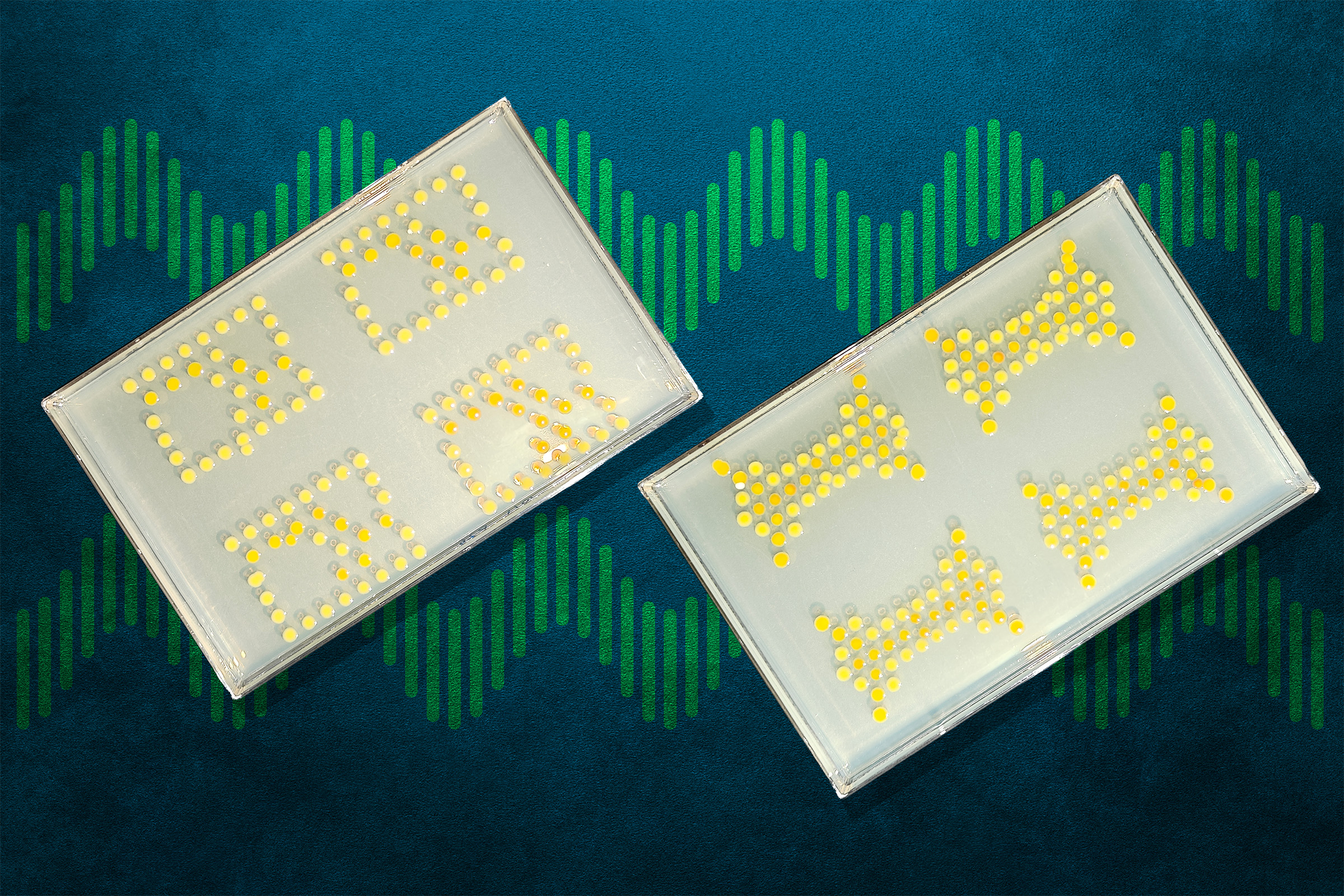 MIT Creates Living Computer Circuits From Bacteria