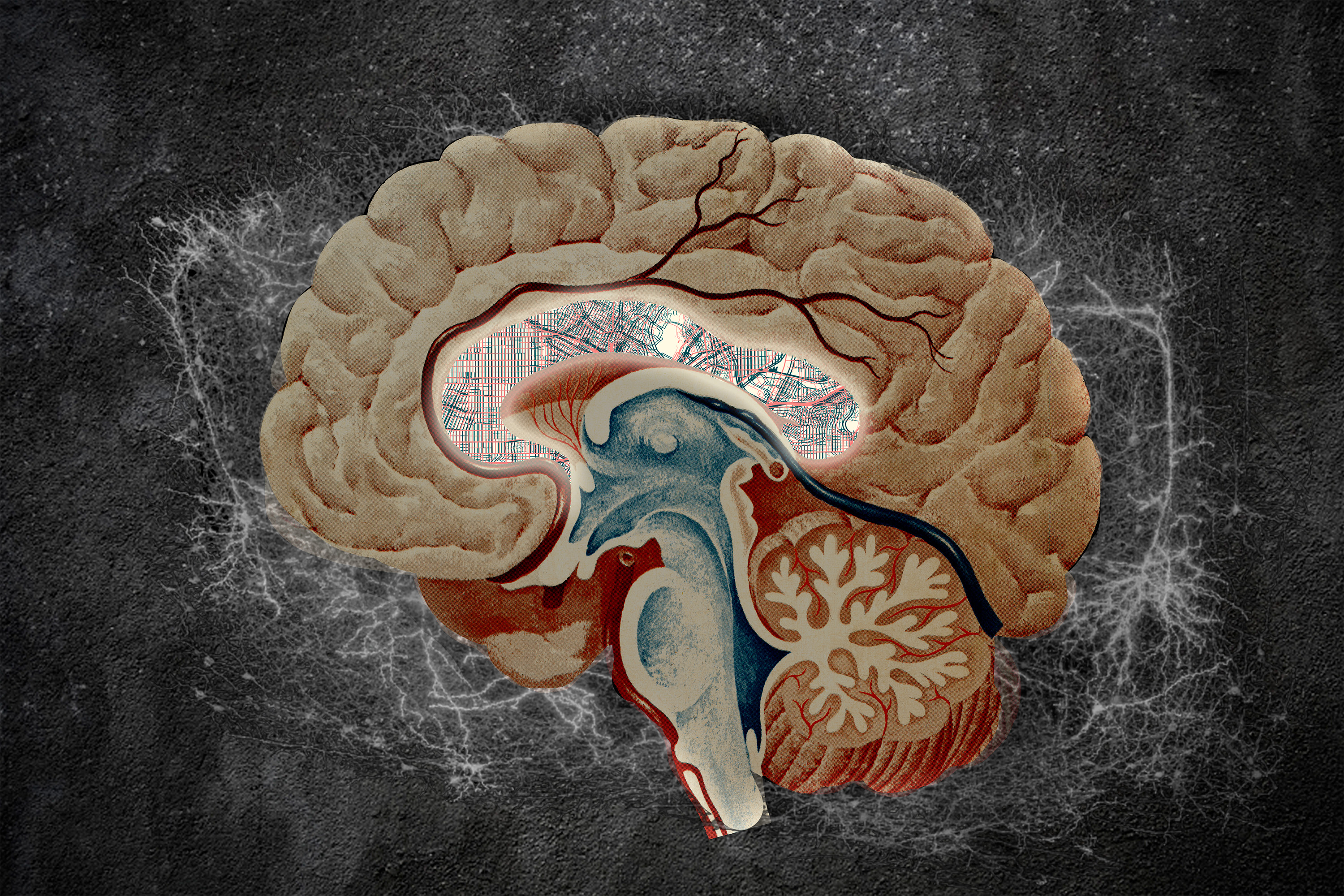 MIT Brain Atlas Could Unlock Better Addiction Treatments