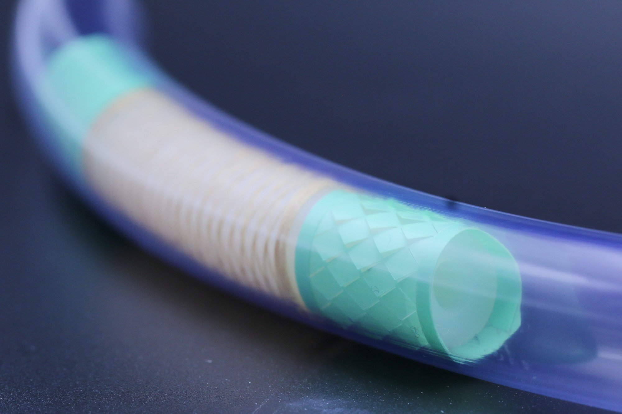 MIT's Snake Robot Makes Intestinal Diagnosis Easier