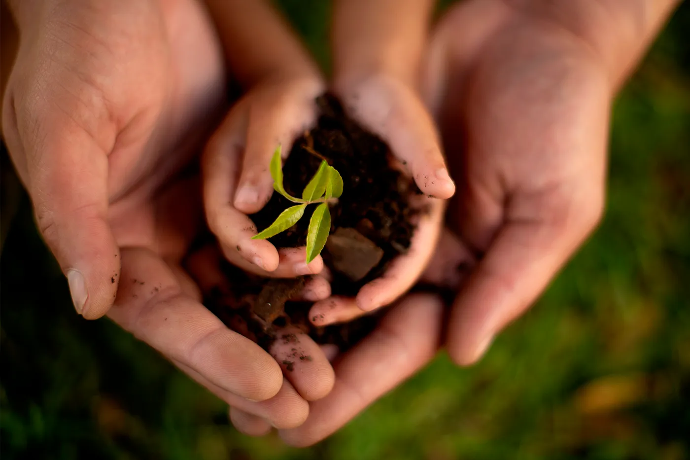 Kids Change Parents' Climate Habits Better Than Reverse