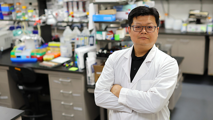 Dr. Kuo-Hui Su in laboratory researching pancreatic cancer treatment resistance at University of Toledo