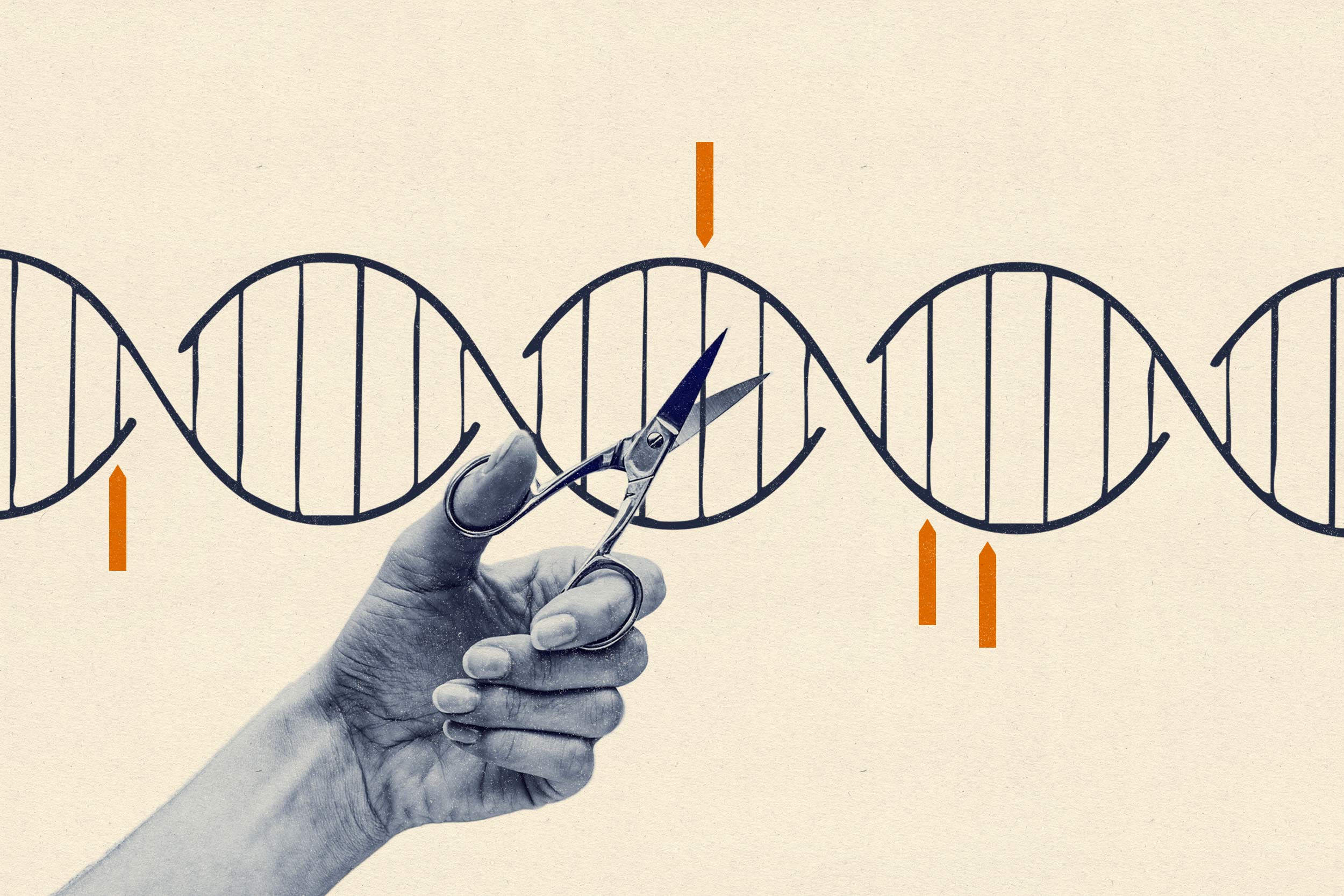 Gene Editing Reverses Severe Epilepsy in Mice