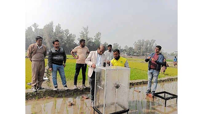 ** Project team members collecting methane gas sample from flooded rice paddy field in Bangladesh