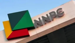 Nigeria Opens Agribusiness Contest for Young Entrepreneurs - Image 2