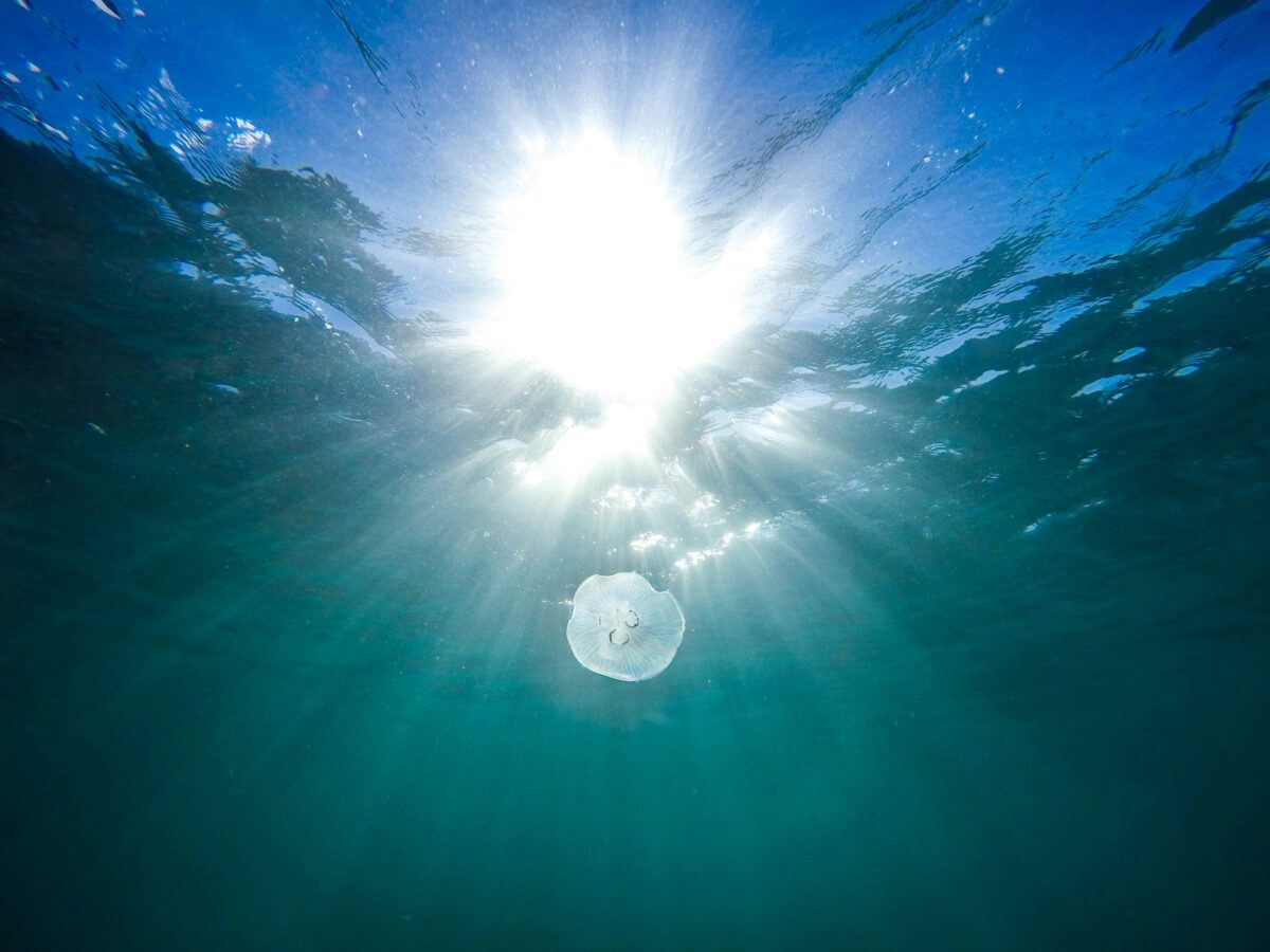 Solar Panels Work 10 Meters Deep in the Ocean