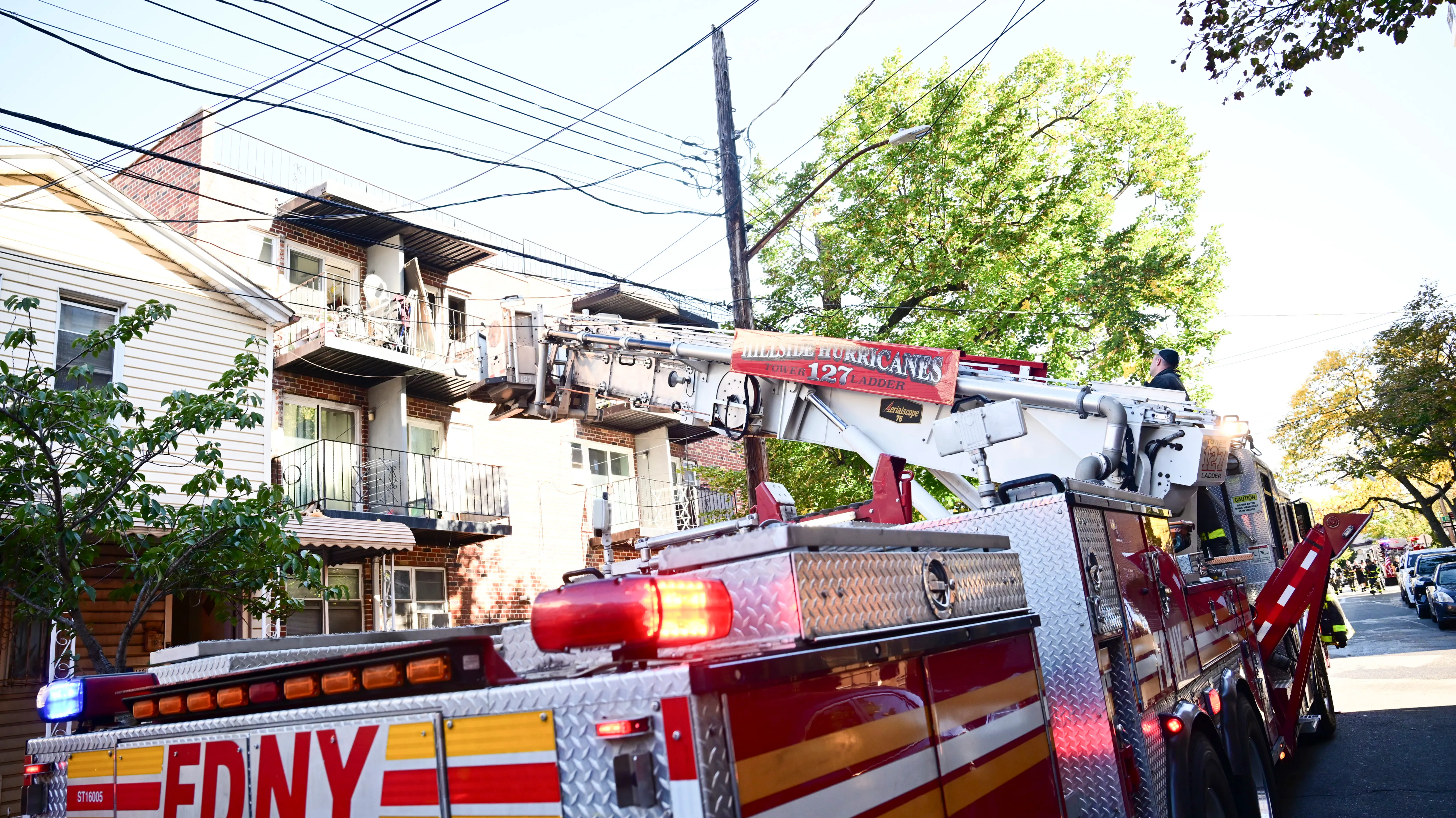 Firefighters Save Cat That Leaped from Jamaica Blaze - Image 3