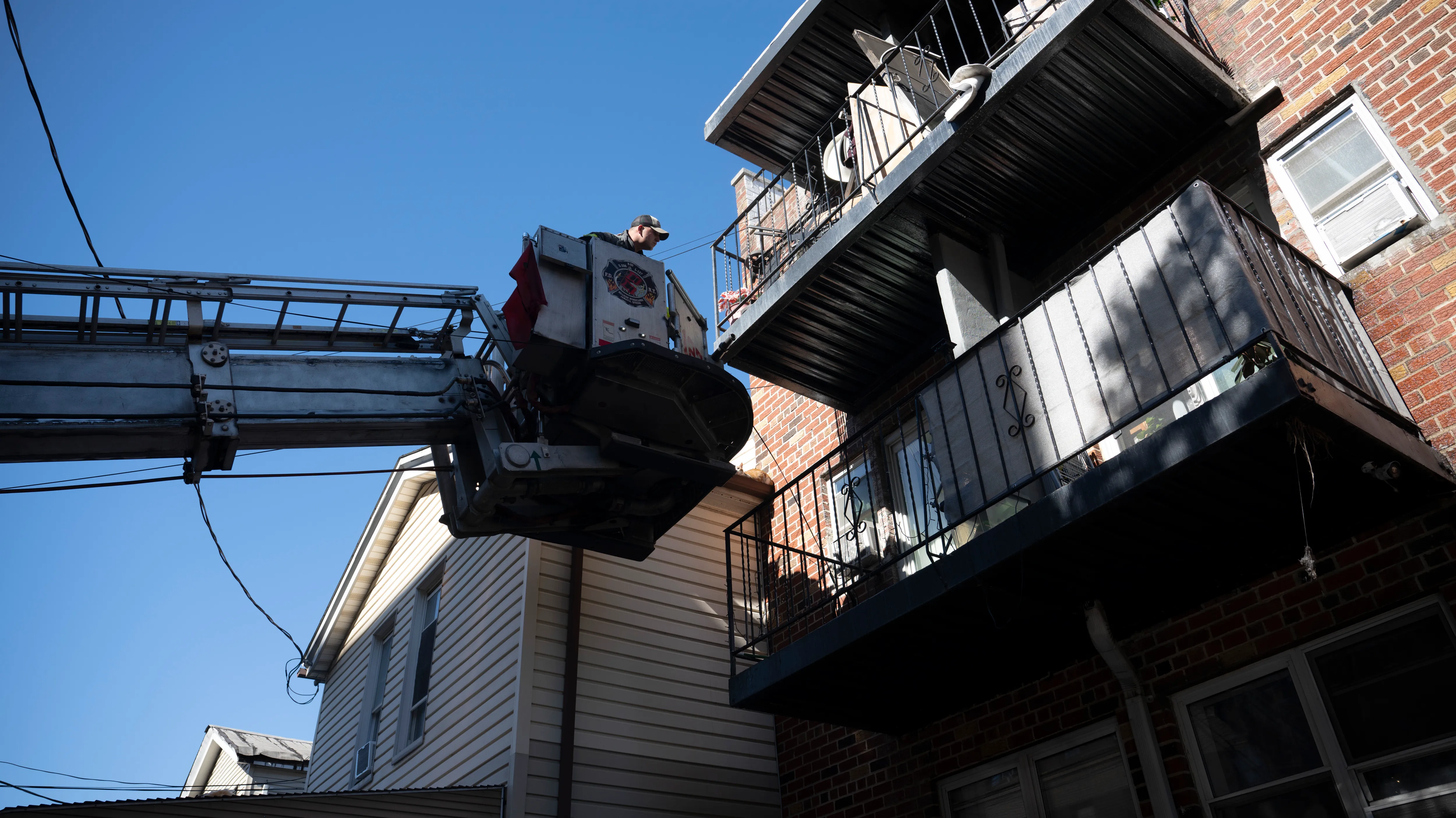 Firefighters Save Cat That Leaped from Jamaica Blaze - Image 5