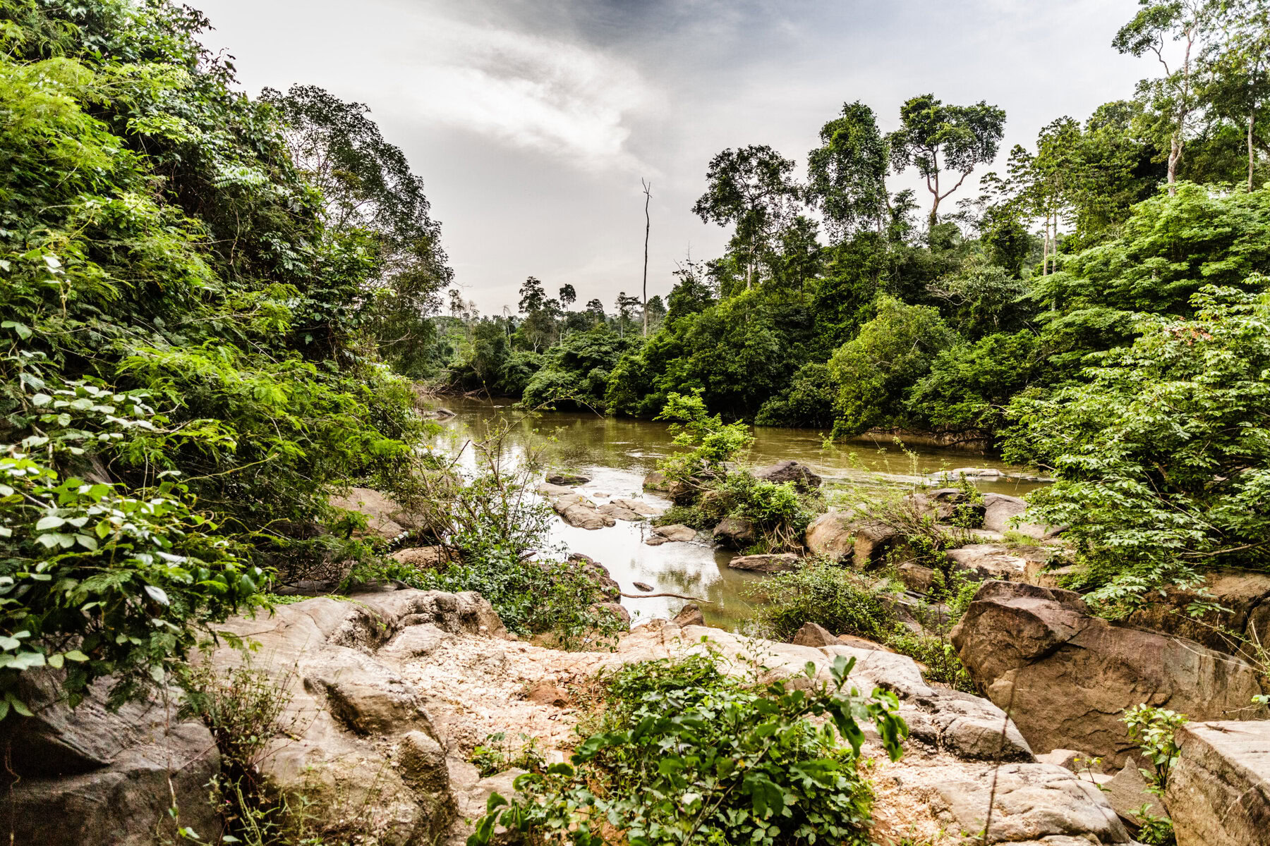 Ex-Poachers Now Protect Nigeria's Omo Rainforest