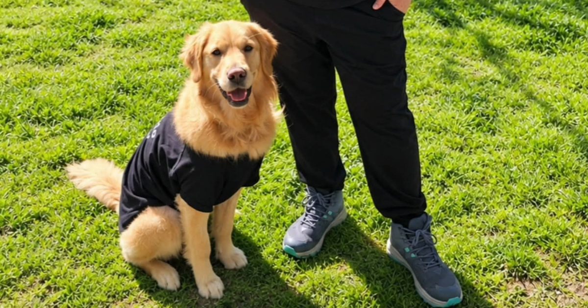 Canberra Woman Trains Assistance Dogs While Living With Disability