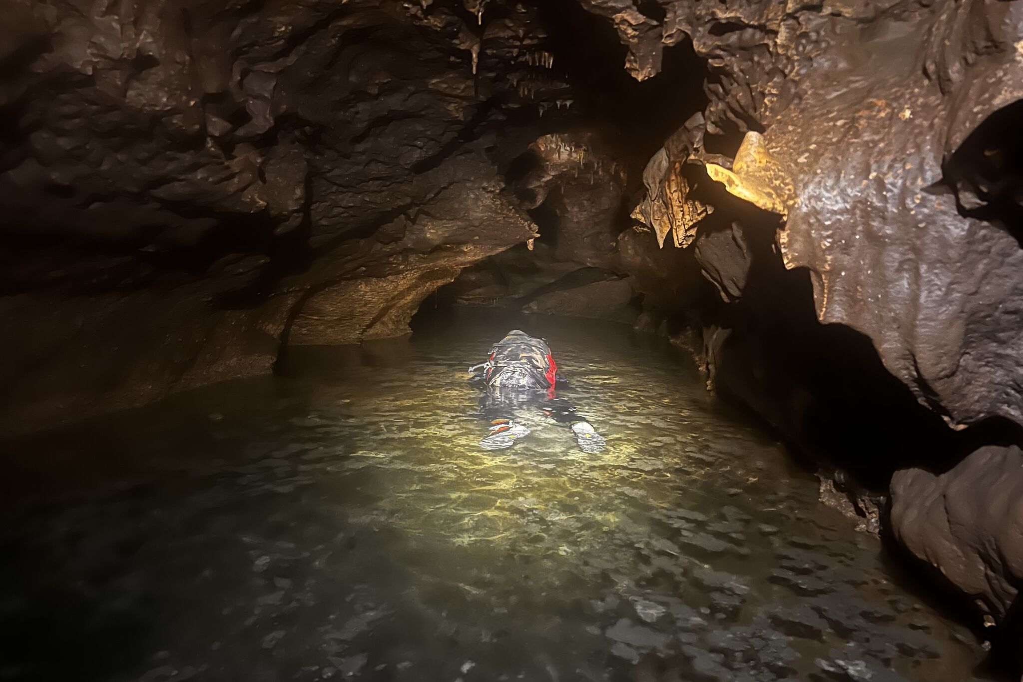 Texas Cave Reveals 100,000-Year-Old Ice Age Fossils
