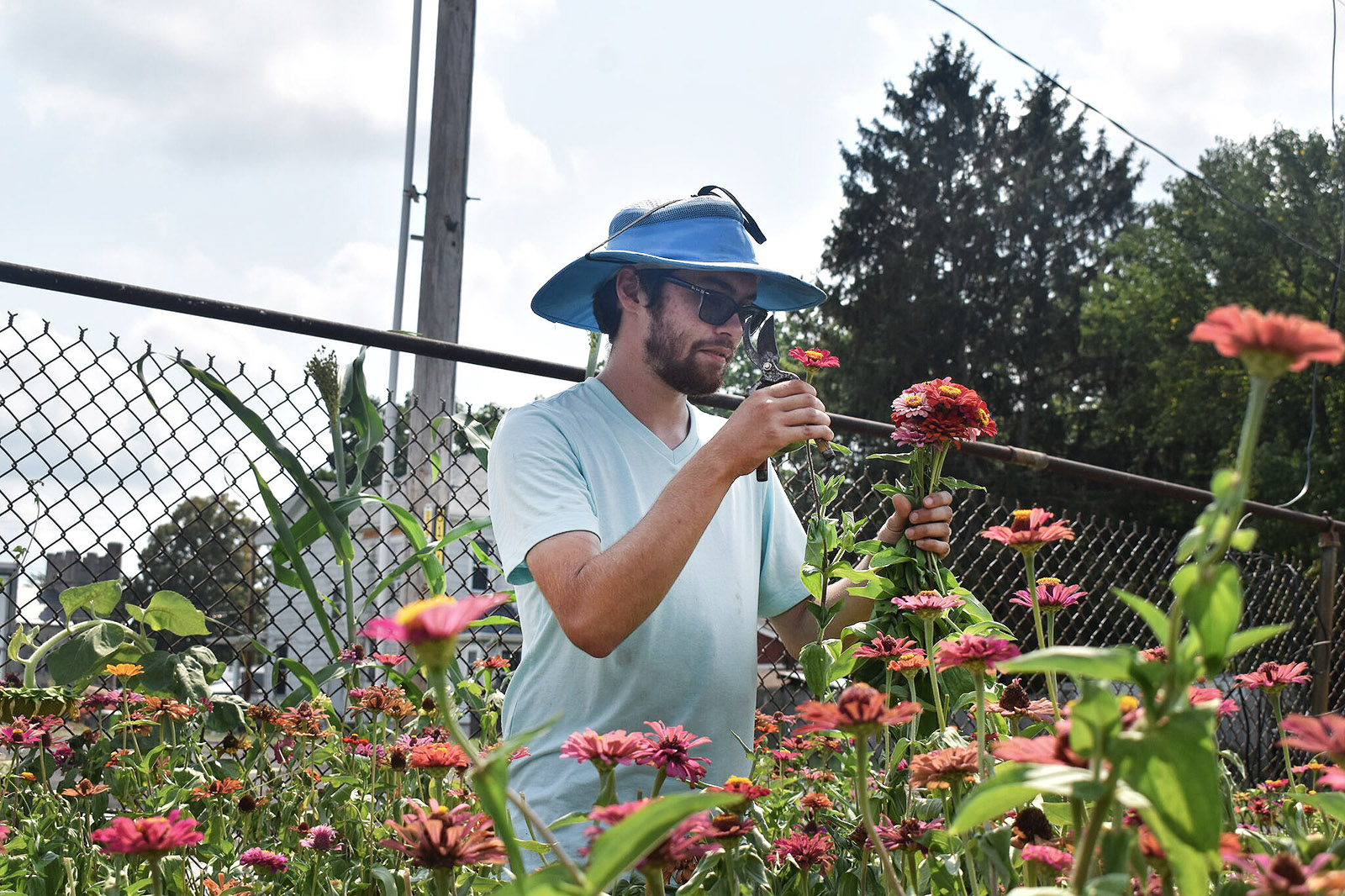 Jacksonville Volunteers Give Free Flowers to Brighten Days