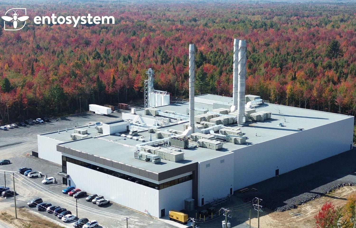 Canadian Firm Turns Food Waste Into Fish Feed, Cuts Carbon