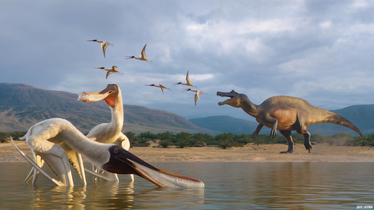 Fossil Vomit Reveals New Filter-Feeding Pterosaur Species